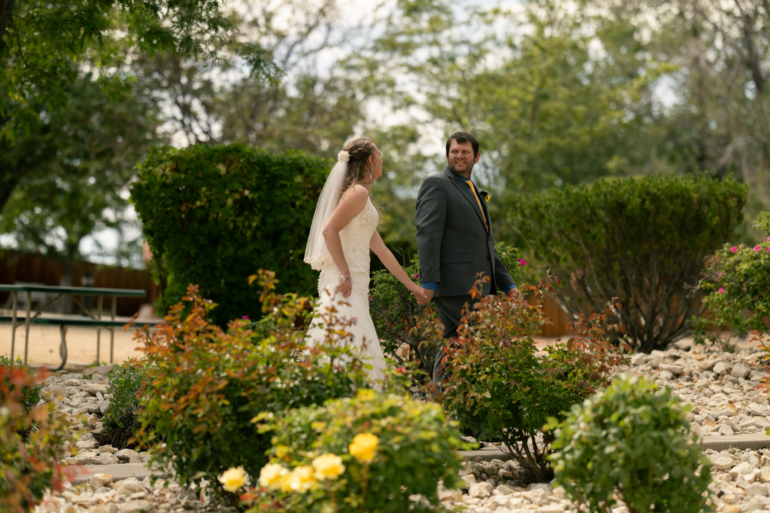 Groom leading bride through rose garden behind Immaculate Conception Catholic Church in Sparks, NV by Colorado wedding photographer Alexis Dean